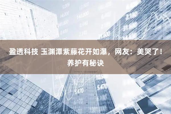 盈透科技 玉渊潭紫藤花开如瀑，网友：美哭了！养护有秘诀