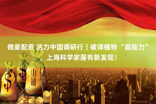 微豪配资 活力中国调研行|破译植物 “超能力”,上海科学家屡有新发现!
