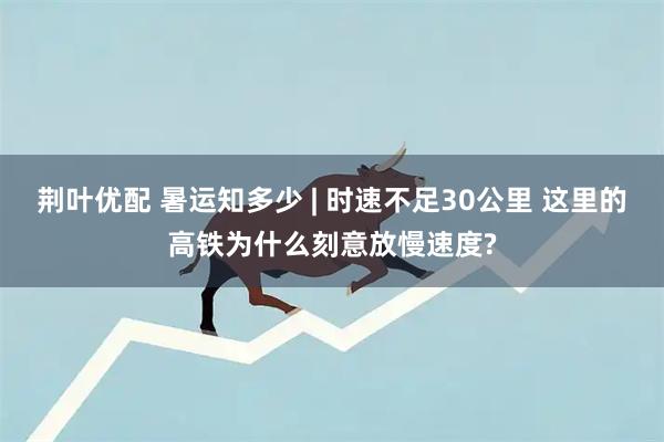 荆叶优配 暑运知多少 | 时速不足30公里 这里的高铁为什么刻意放慢速度?