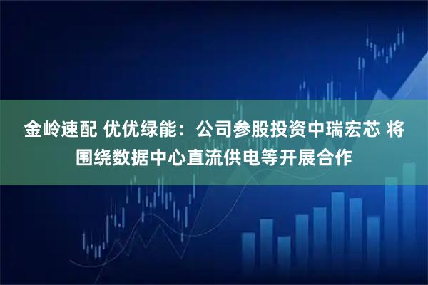金岭速配 优优绿能：公司参股投资中瑞宏芯 将围绕数据中心直流供电等开展合作